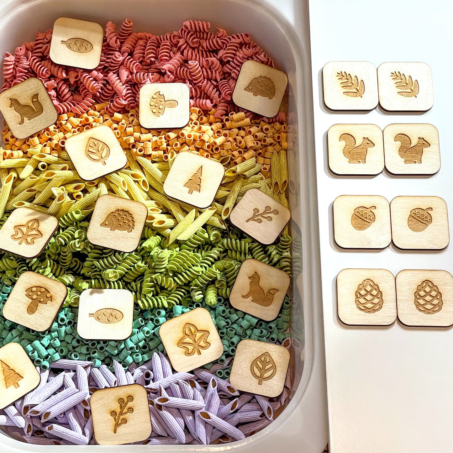 Forest Themed Memory Match Game